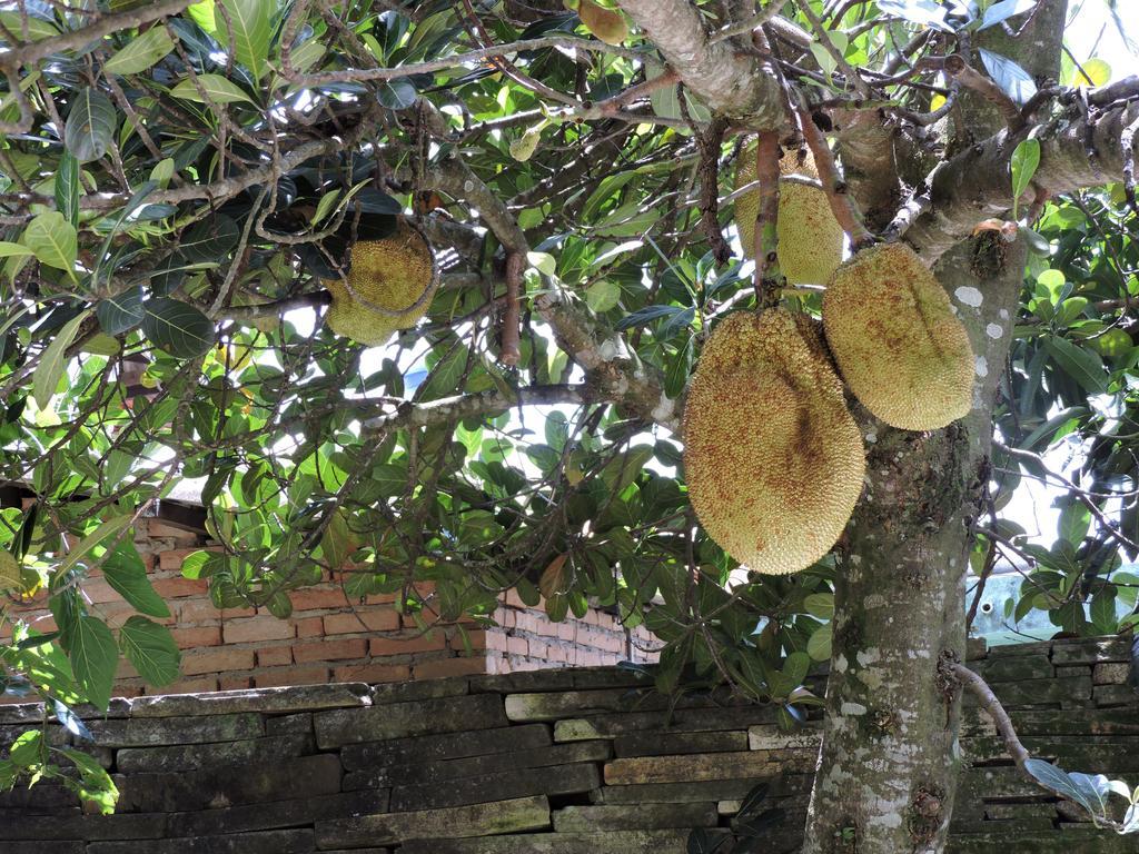 Pousada Casa Da Serra São Tomé das Letras Екстериор снимка