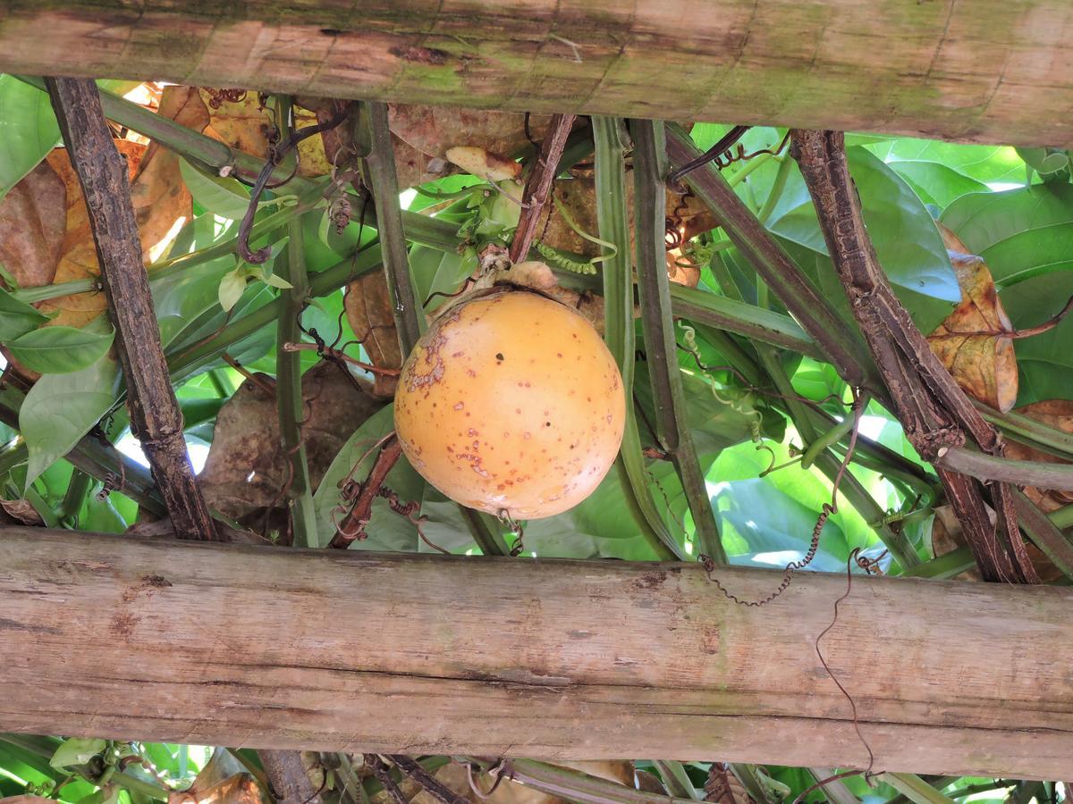 Pousada Casa Da Serra São Tomé das Letras Екстериор снимка